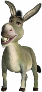 a bölcs szamár